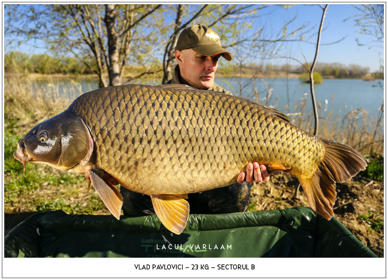 Vlad Pavlovici - 23kg, Sectorul B.jpg