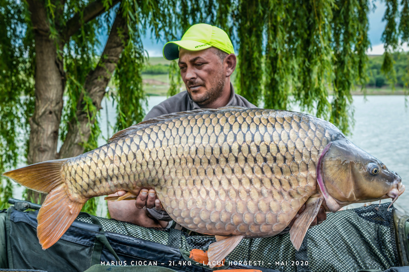 Marius Ciocan - 21,4kg.jpg