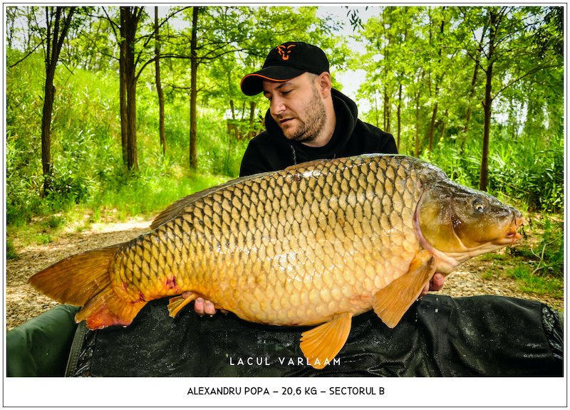 Alexandru Popa - 20,6kg, Sectorul B.jpg