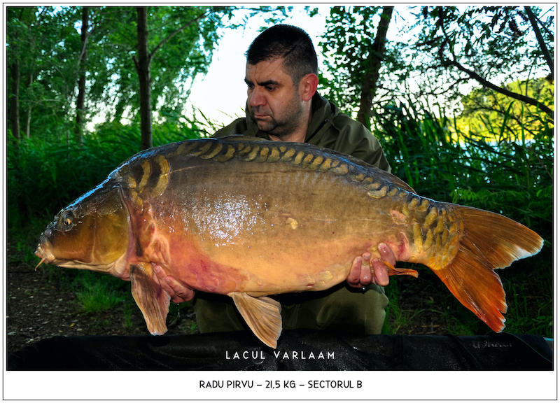 Radu Pirvu - 21,5kg, Sectorul B.jpg