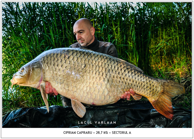 Ciprian Capraru - 26,7kg, Sectorul A.jpg