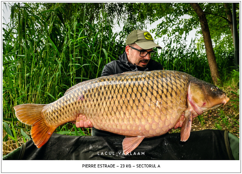 Pierre Estrade - 23kg, Sectorul A.jpg