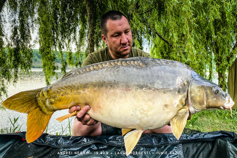 Andrei Negru - 19,9kg.jpg