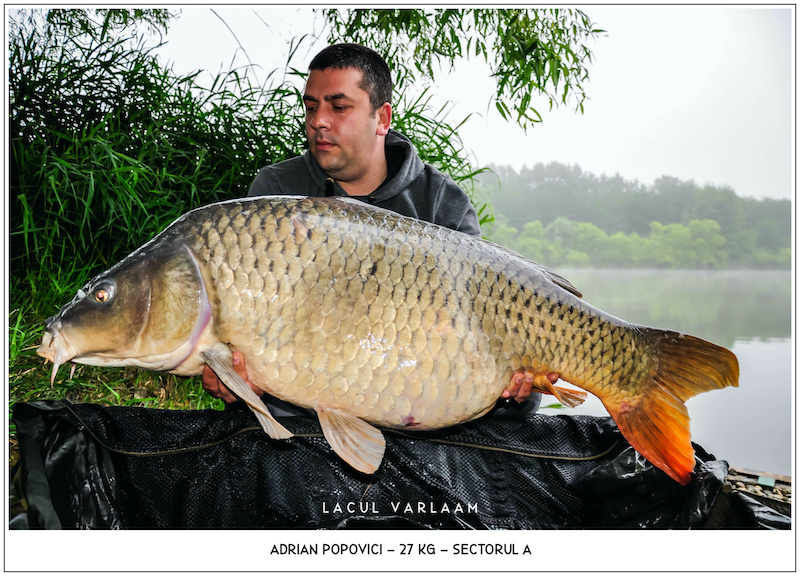 Adrian Popovici - 27kg, Sectorul A.jpg