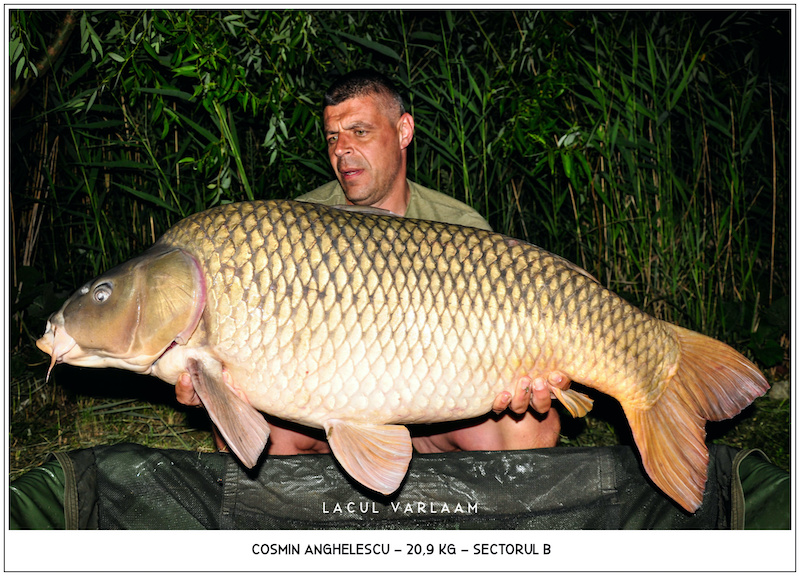 Cosmin Anghelescu - 20,9kg, Sectorul B.jpg