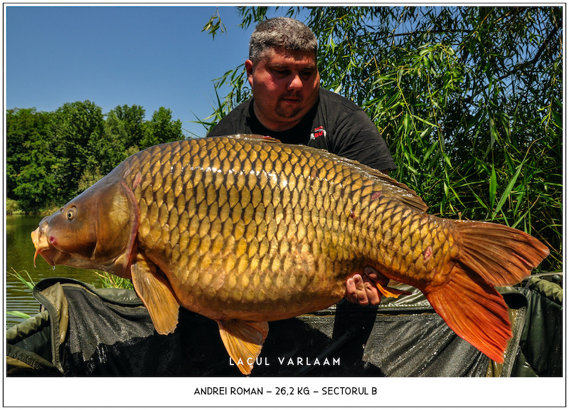 Andrei Roman - 26,2kg, Sectorul B.jpg