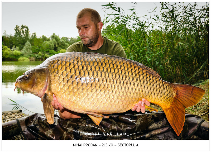 Mihai Prodan - 21,3kg, Sectorul A.jpg