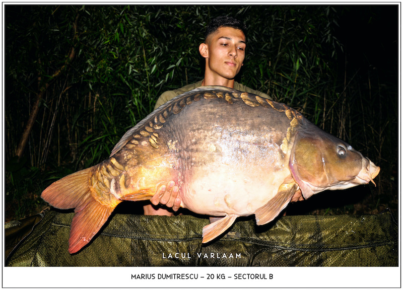 Marius Dumitrescu - 20kg, Sectorul B.jpg