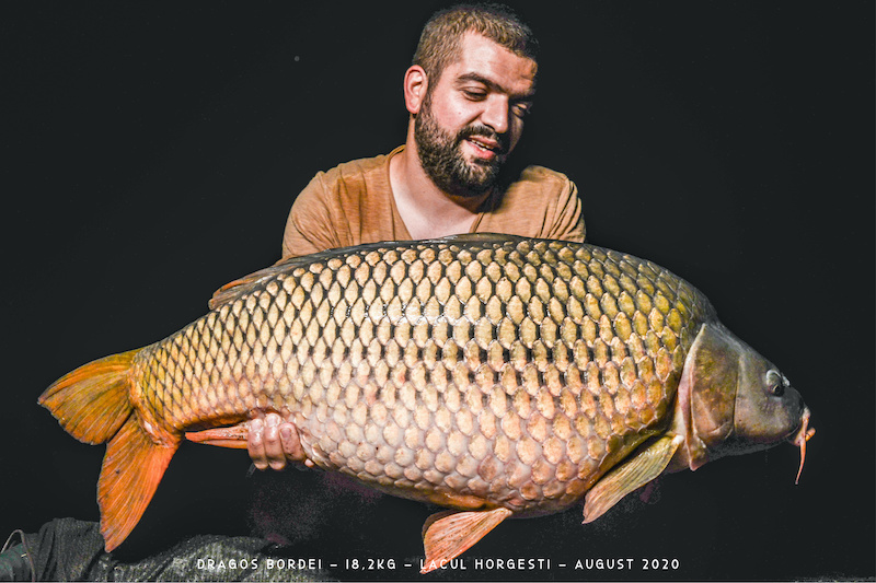 Dragos Bordei - 18,2kg.jpg