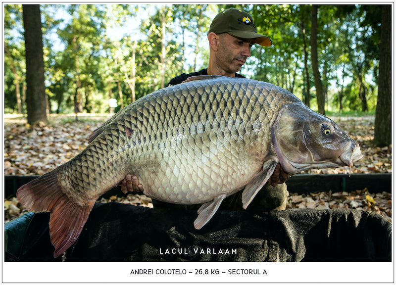 Andrei Colotelo - 26,8kg, Sectorul A.jpg