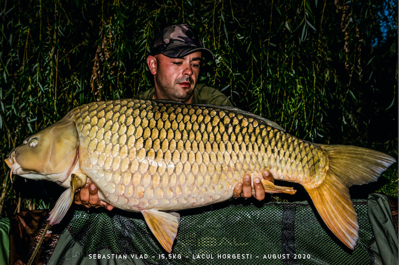 Sebastian Vlad - 15,5kg.jpg