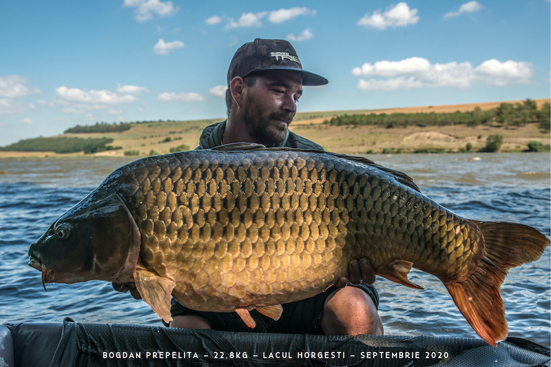 Bogdan Prepelita - 22,8kg.jpg