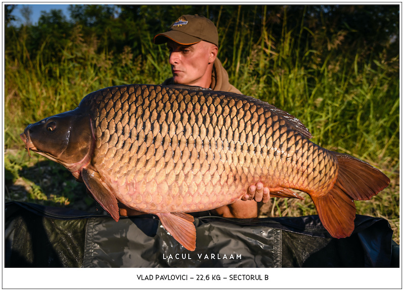 Vlad Pavlovici - 22,6kg, Sectorul B.jpg