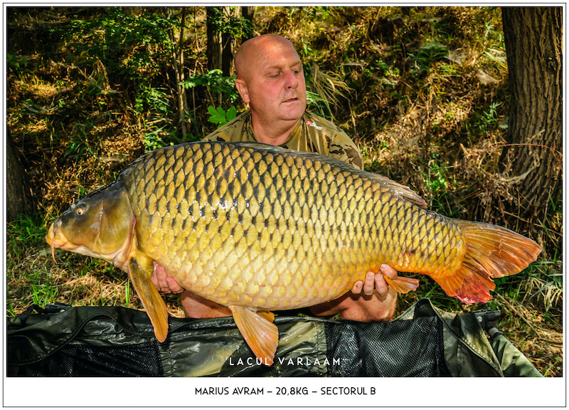 Marius Avram - 20,8kg, Sectorul B.jpg