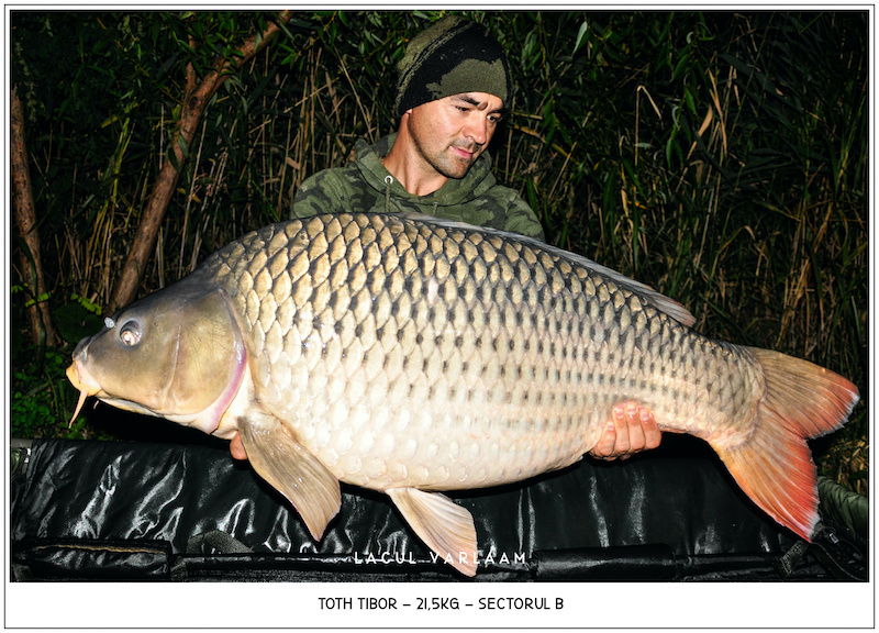 Toth Tibor - 21,5kg, Sectorul B.jpg