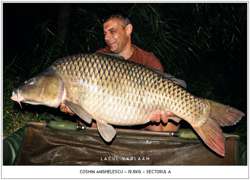 Cosmin Anghelescu - 19,6kg, Sectorul A.jpg