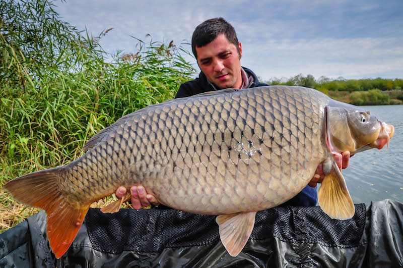 Dan Arghirescu_Varlaam_18,5kg.jpg