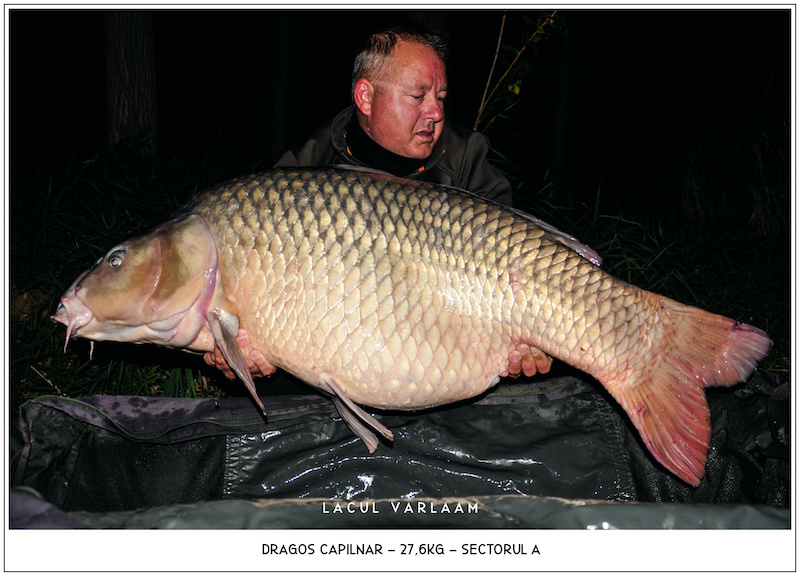 Dragos Capilnar - 27,6kg, Sectorul A.jpg