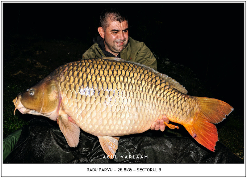 Radu Parvu - 26,8kg, Sectorul B.jpg