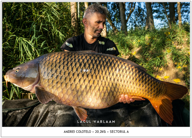 Andrei Colotelo - 20,2kg, Sectorul A.jpg