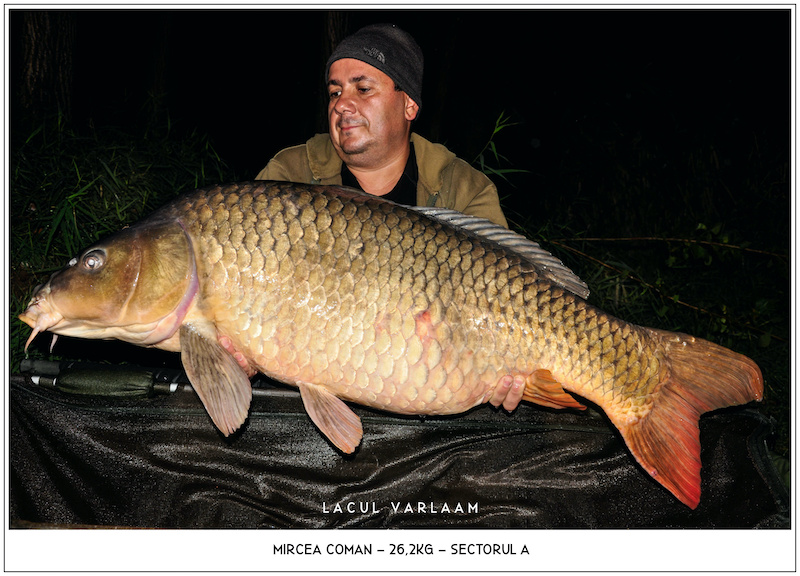 Mircea Coman - 26,2kg, Sectorul A.jpg