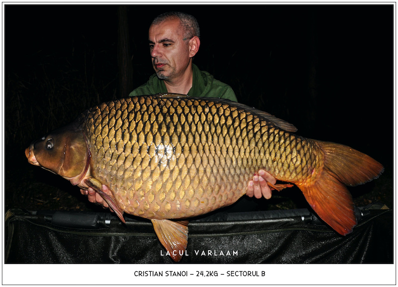 Cristian Stanoi - 24,2kg, Sectorul B.jpg