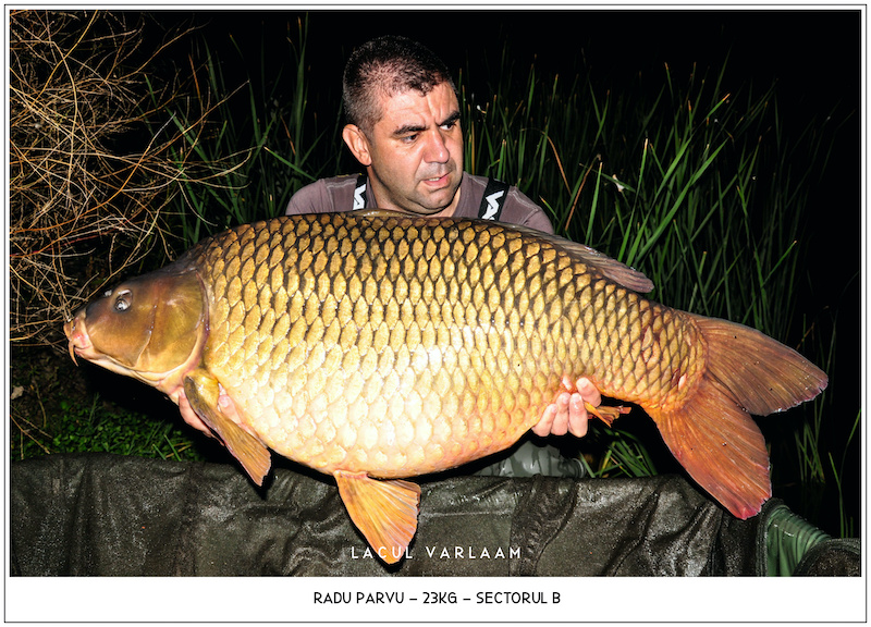 Radu Parvu - 23kg, Sectorul B.jpg