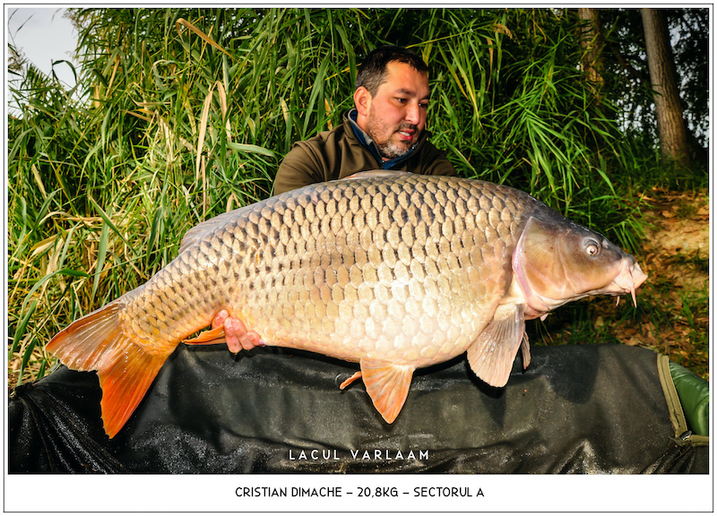 Cristian Dimache - 20,8kg, Sectorul A.jpg