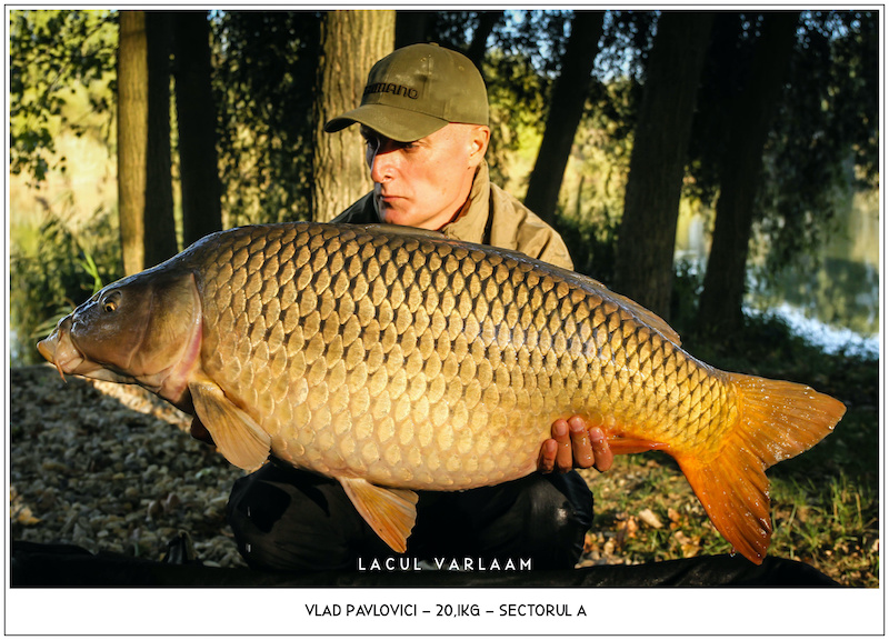 Vlad Pavlovici - 20,1kg, Sectorul A.jpg