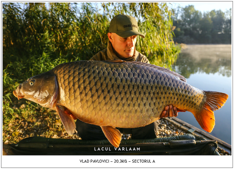 Vlad Pavlovici - 20,3kg, Sectorul A.jpg