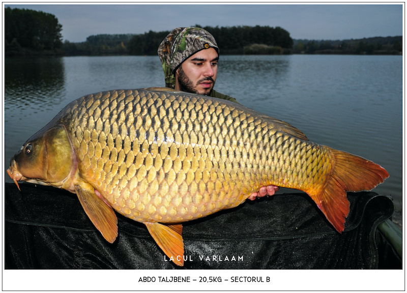 Abdo Taljbene - 20,5kg, Sectorul B.jpg