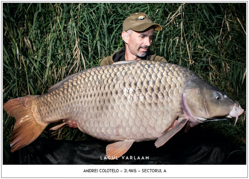 Andrei Colotelo - 21,4kg, Sectorul A.jpg