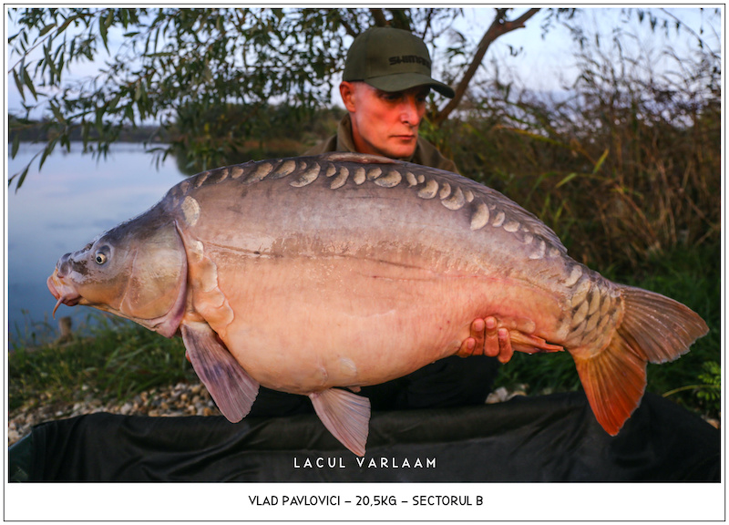 Vlad Pavlovici - 20,5kg, Sectorul B.jpg