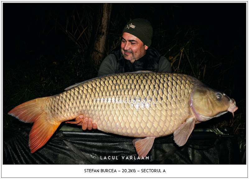 Stefan Burcea - 20,2kg, Sectorul A.jpg