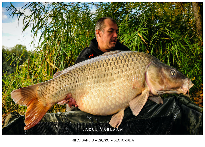 Mihai Danciu - 29,7kg, Sectorul A.jpg