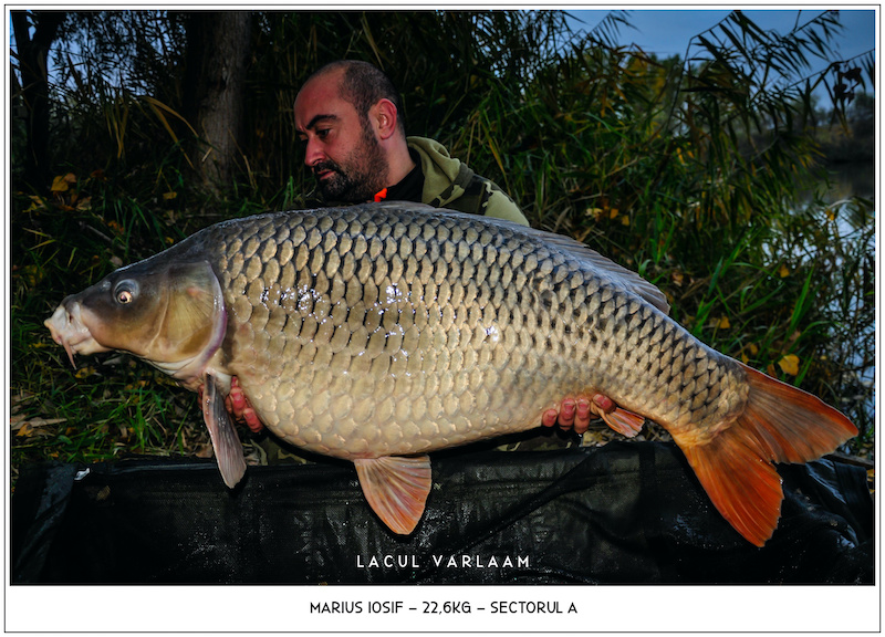 Marius Iosif - 22,6kg, Sectorul A.jpg