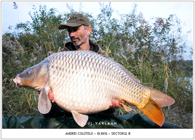 Andrei Colotelo - 19,8kg, Sectorul B.jpg