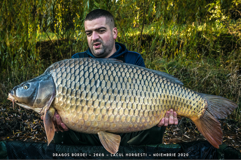 6. Dragos Bordei 26kg.jpg