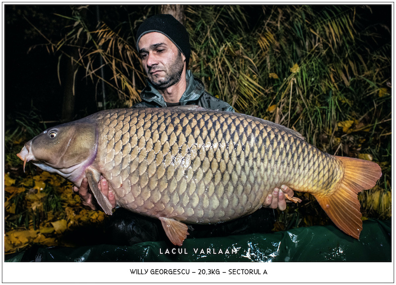 Willy Georgescu - 20,3kg, Sectorul A.jpg