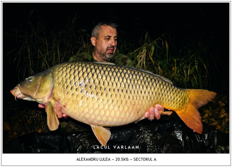 Alexandru Lulea - 20,5kg, Sectorul A.jpg