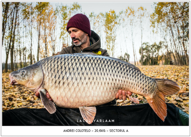 Andrei Colotelo - 20,6kg, Sectorul A.jpg