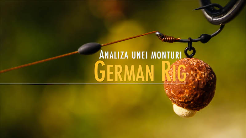 Analiza unei monturi - German Rig.jpg