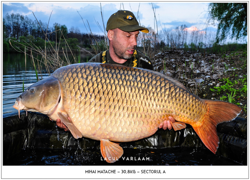 Mihai Matache - 30,8kg, Sectorul A.jpg