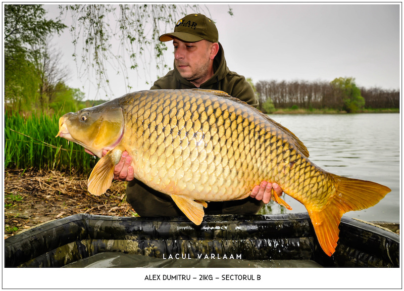 Alex Dumitru - 21kg, Sectorul B.jpg