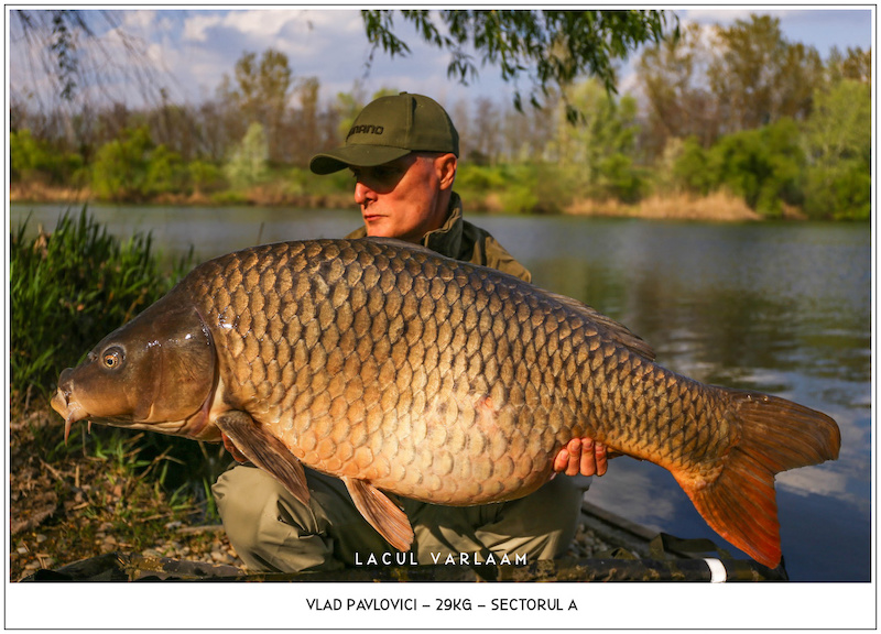 Vlad Pavlovici - 29kg, Sectorul A.jpg