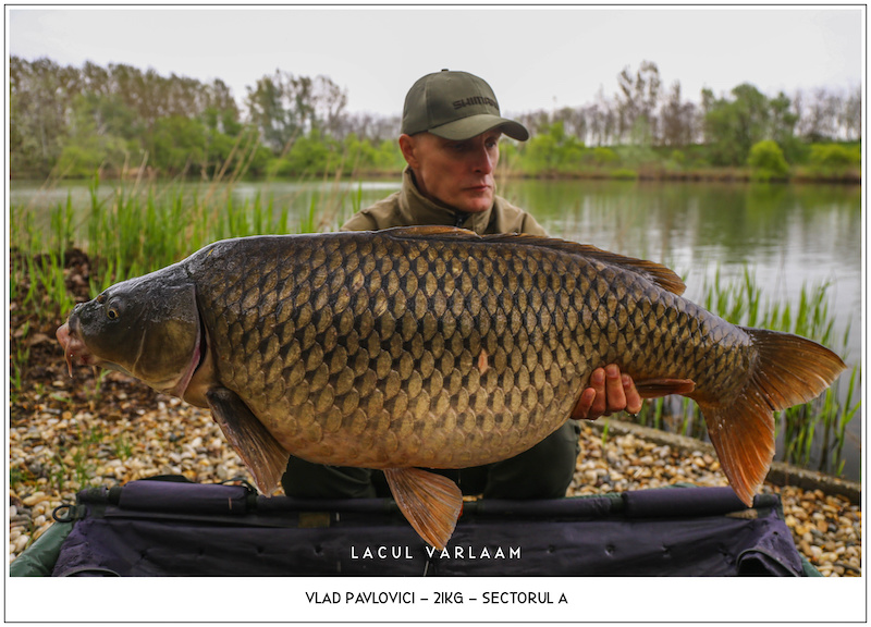 Vlad Pavlovici - 21kg, Sectorul A.jpg