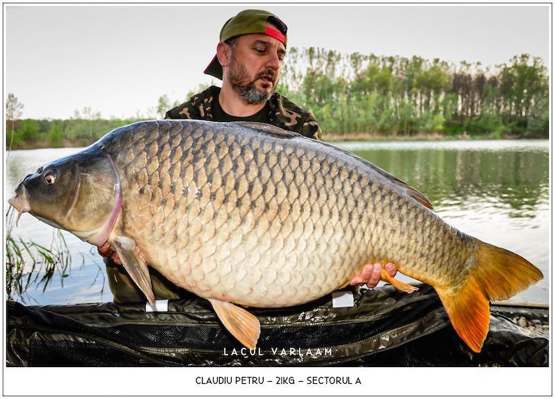 Claudiu Petru - 21kg, Sectorul A.jpg