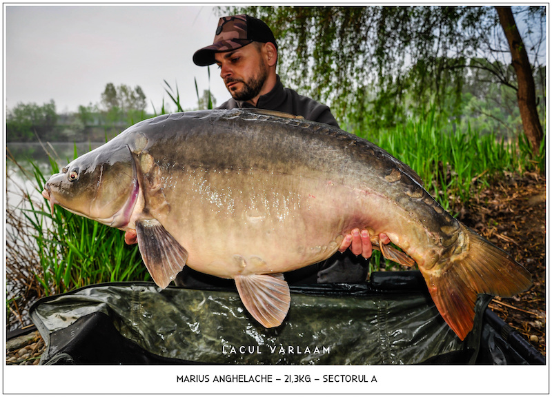 Marius Anghelache - 21,3kg, Sectorul A.jpg