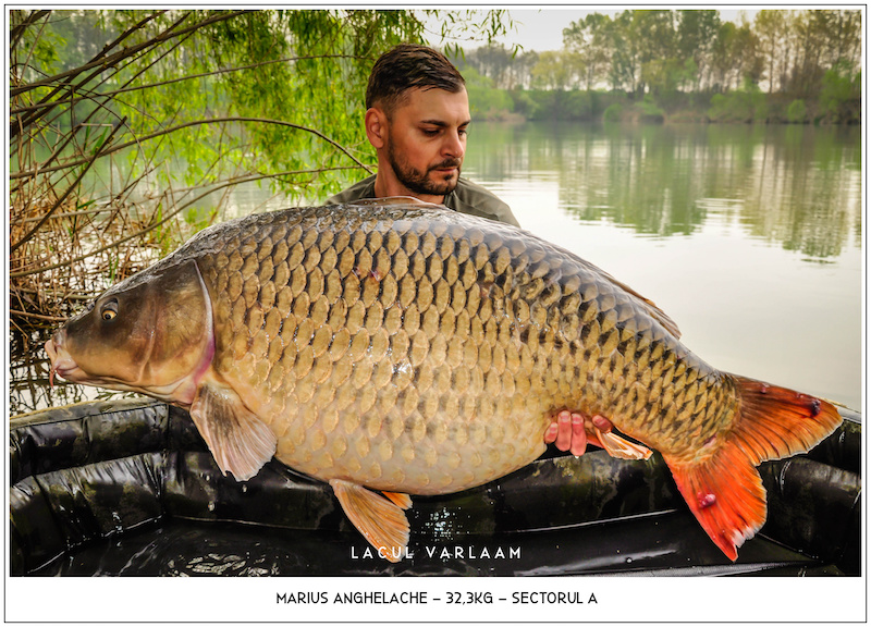 Marius Anghelache - 32,3kg, Sectorul A.jpg