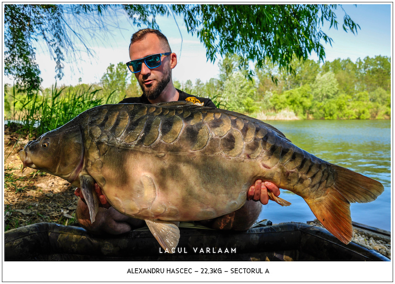 Alexandru Hascec - 22,3kg, Sectorul A.jpg